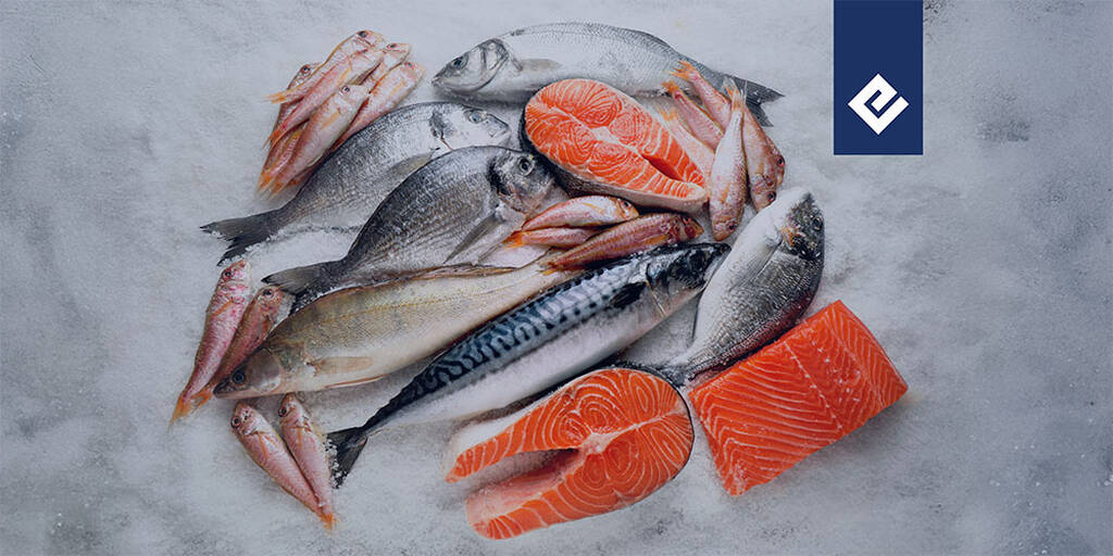 armazenamento de pescados