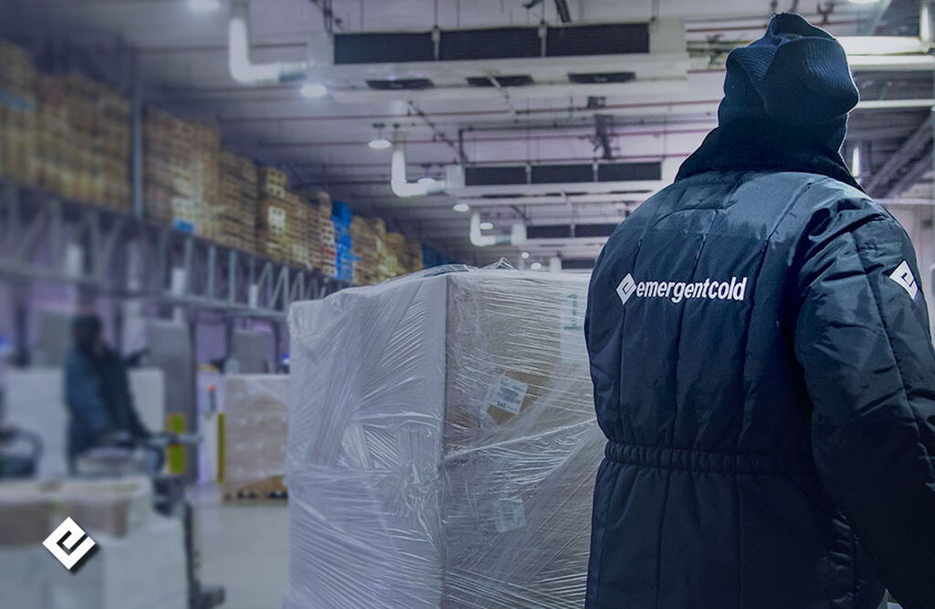 supply chain network